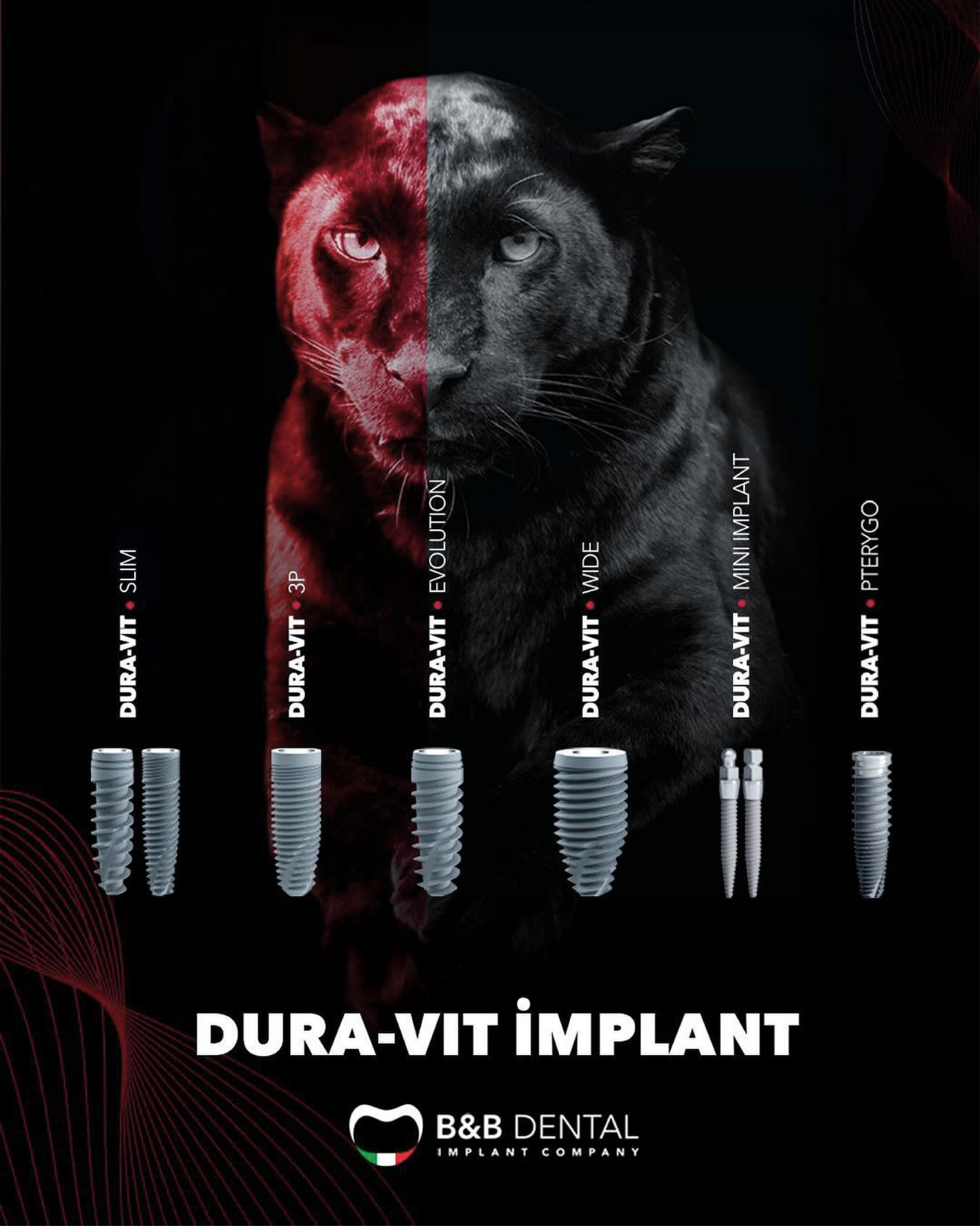 bnb implant dental