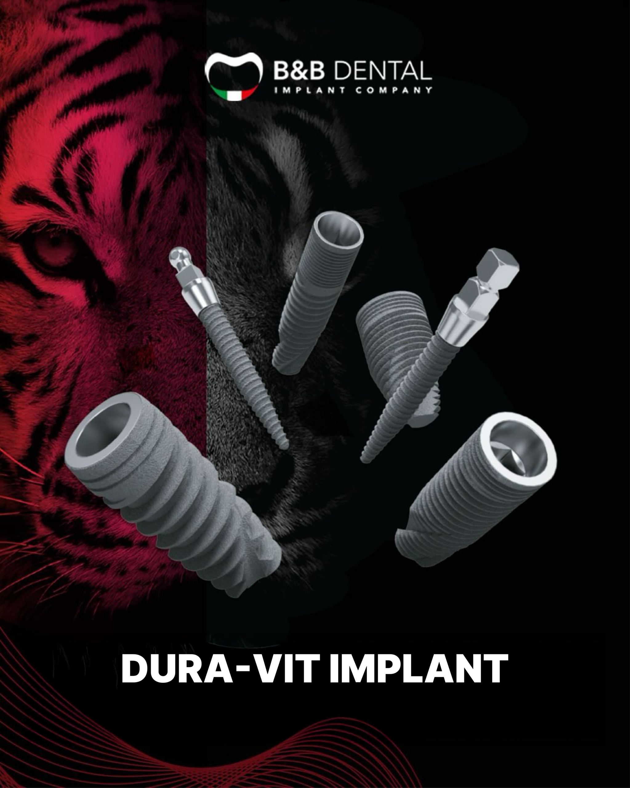 bnb implant-10