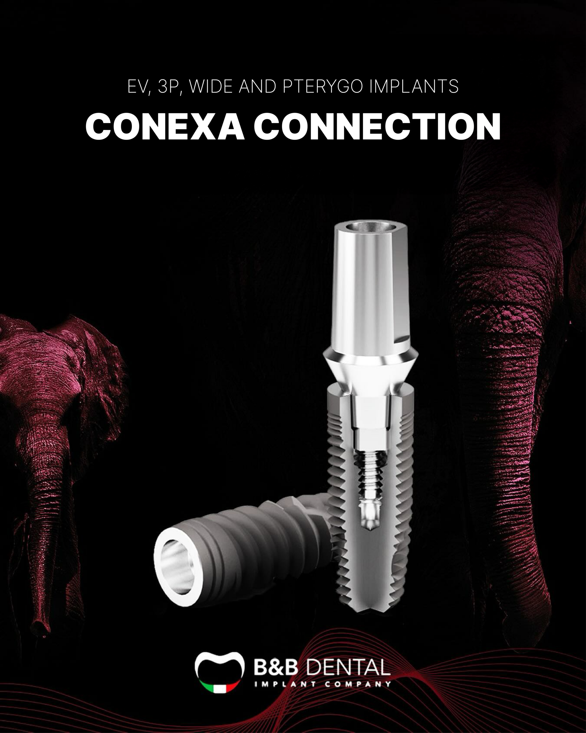 bnb implant-12